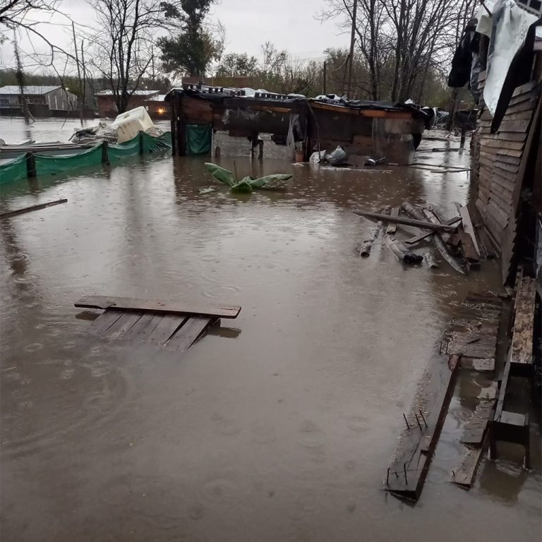 emergencia cuadrado _0003_WhatsApp Image 2025-05-19 at 4.40.34 PM